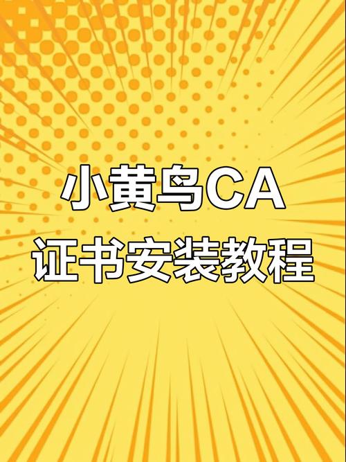 黄鸟ca证书安装流程