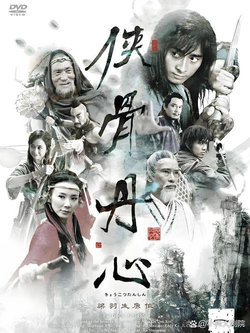 侠骨丹心电视剧字幕版轻量版