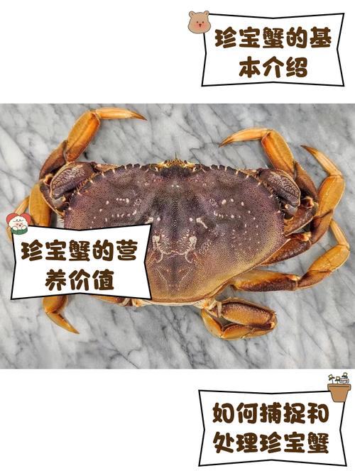 珍宝蟹图标