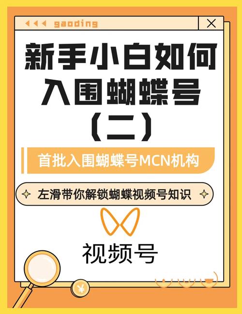 新人小白怎么做蝴蝶号赚钱