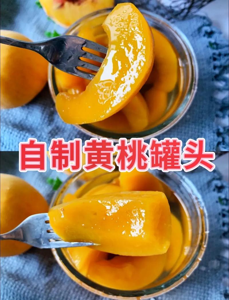 自制的黄桃罐头放了2年光环加速版