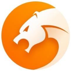 猎豹浏览器网页版