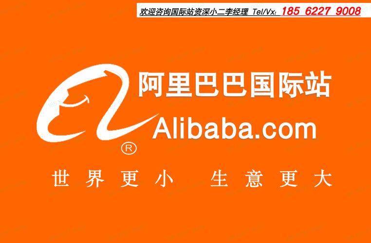 阿里巴巴国际站软件赚钱版
