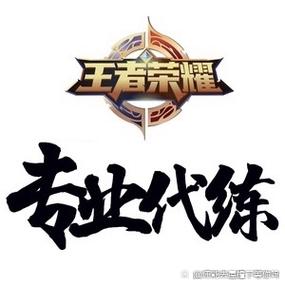王者代打最便宜的平台永久vip