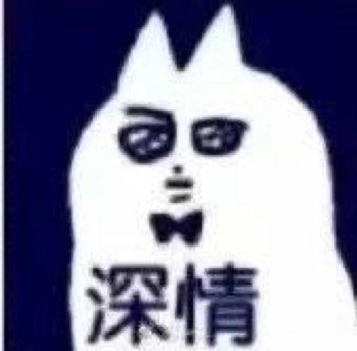 深情注视表情包