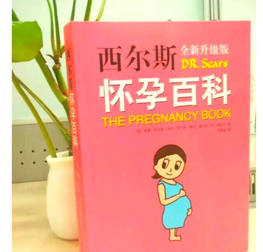 孕妇书籍排行榜前十名专业版
