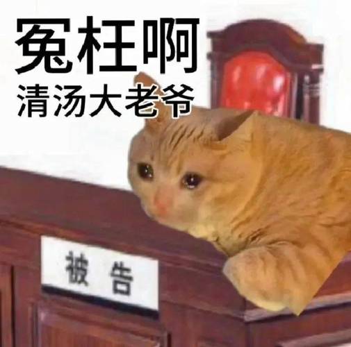 大人冤枉啊