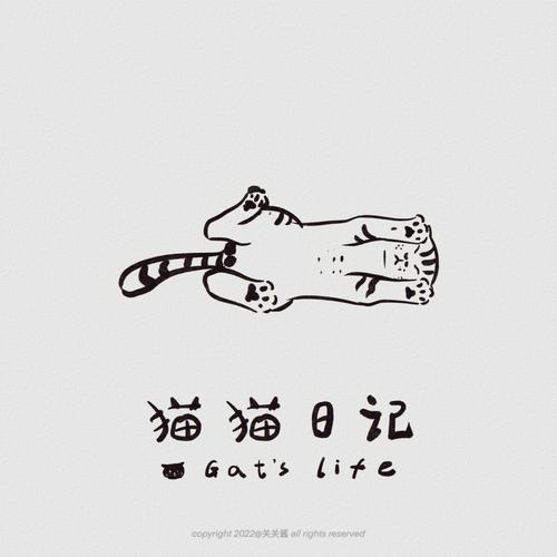 萌小猫日记