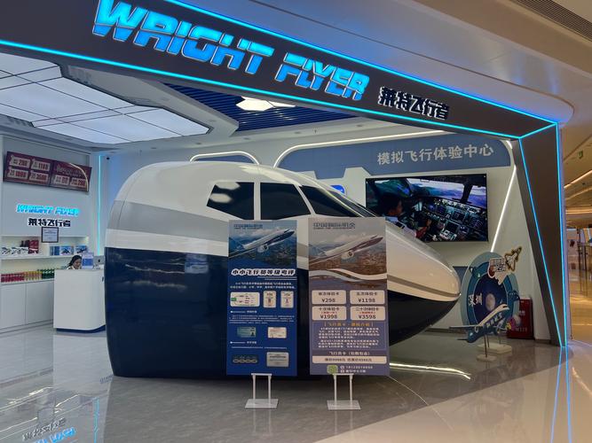 模拟飞行2023正版官方破解版永久VIP截图