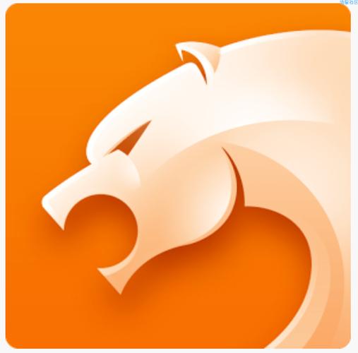 猎豹浏览器旧版永久会员版截图