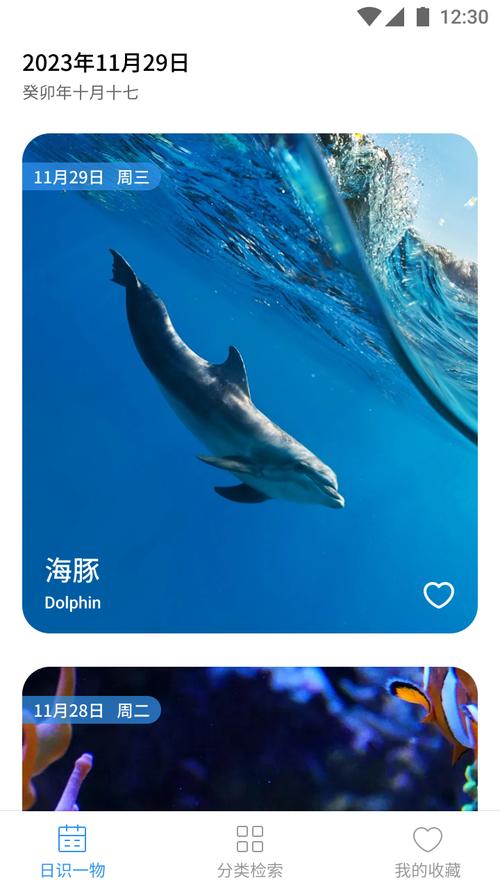奇妙海洋红包版下载