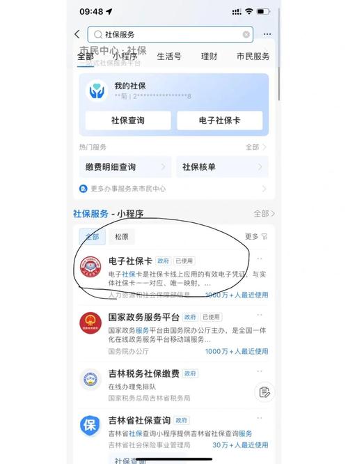 个人社保权益单怎么没有记录光环加速版