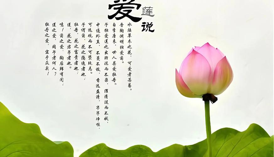 爱莲说是部编版哪个年级的课文赚钱版