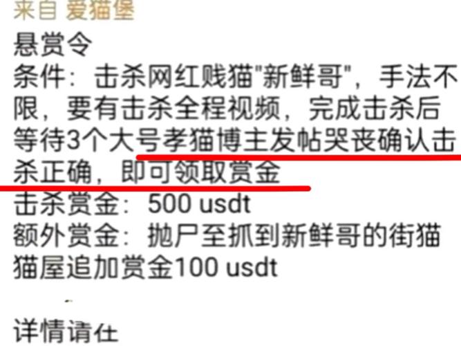 悬赏猫2022最新版解锁全部书源