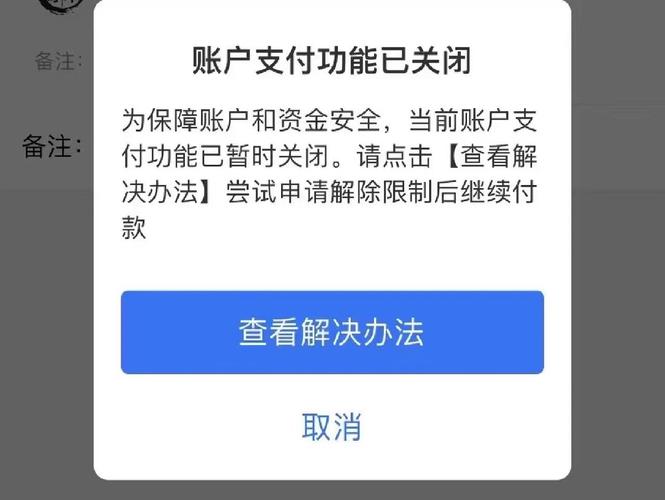 支付功能被关闭多久自动恢复加速永久图标