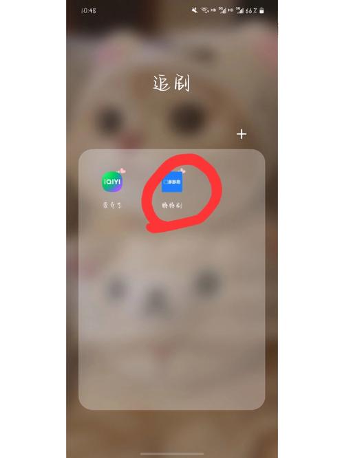 海豚tv视频红包正版