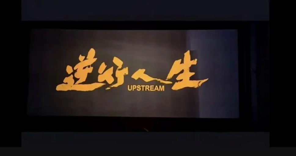 我的逆袭人生