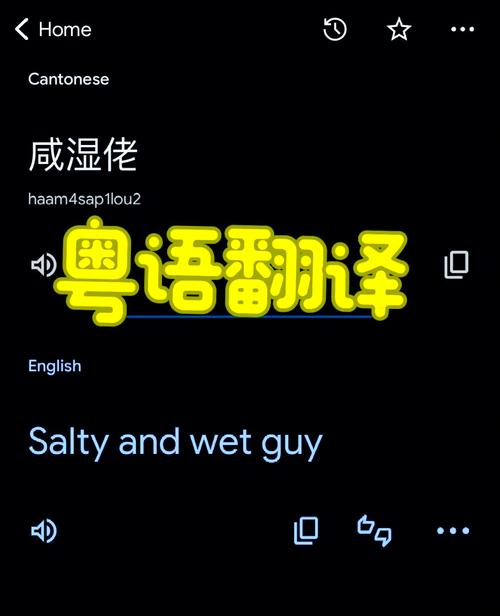 广东话翻译器在线翻译