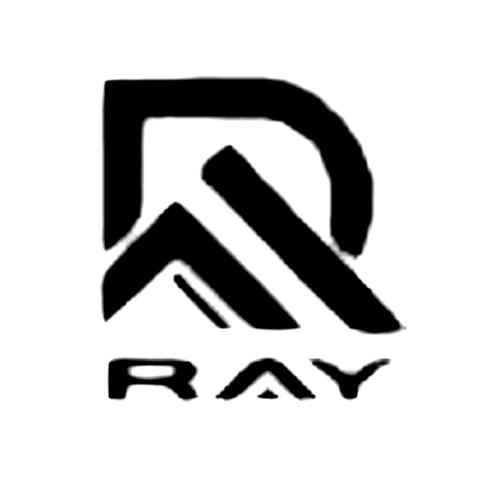 ray直装入口