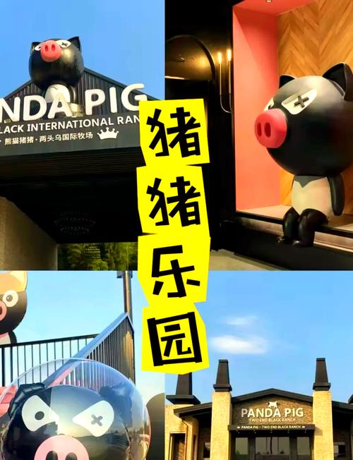 猪猪农场亲子乐园解锁版