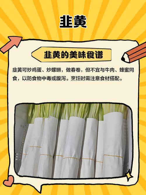 韭黄头条赚钱可靠吗手机版