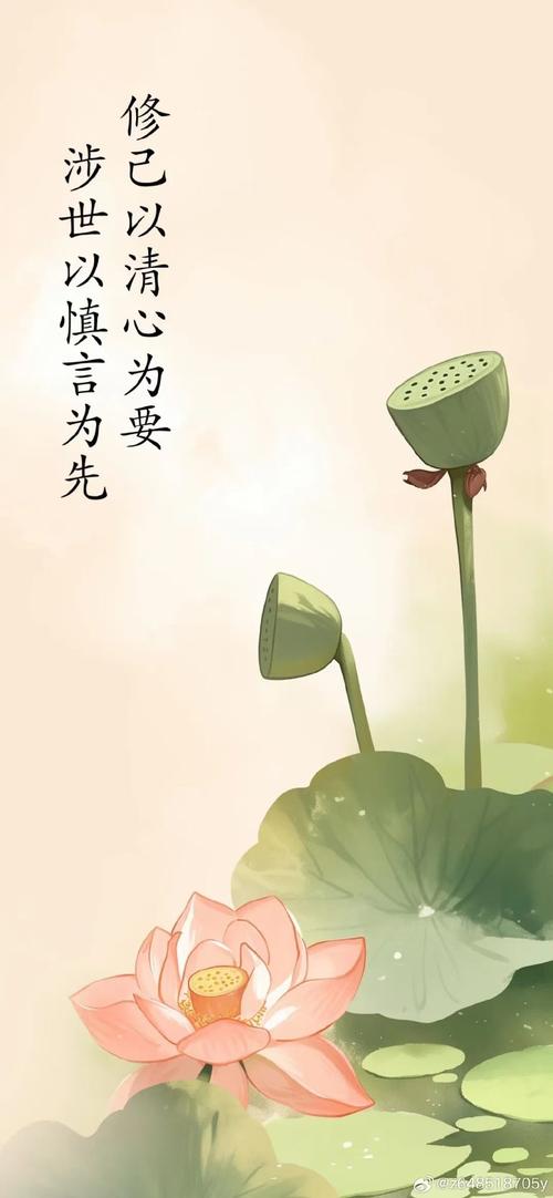 如何找回自己的初心免费版手机正版