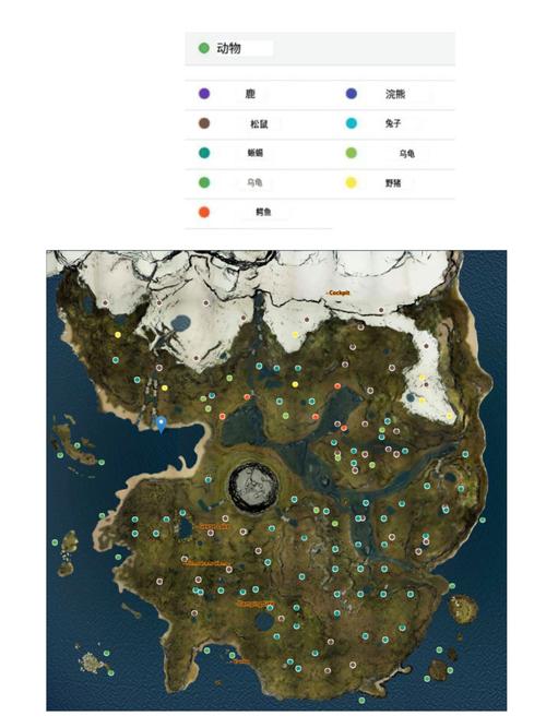 标本森林所有物品位置地图破解版永久免费