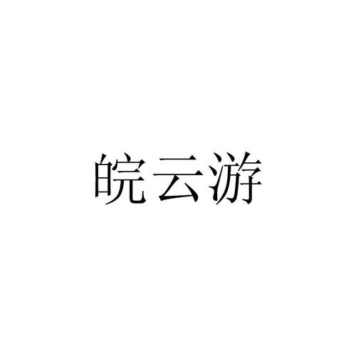 安徽云游网络科技