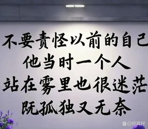 内心孤独无助伤感句子赚钱版