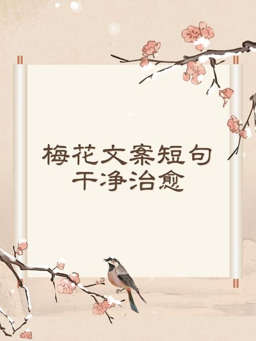 梅花网文案短句干净
