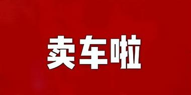 卖车当首富最新版轻量版