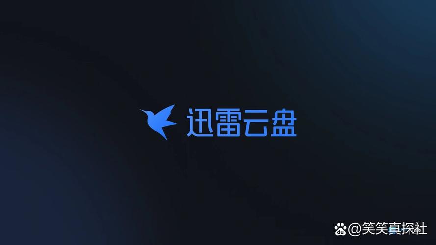 迅雷vip云盘正式版