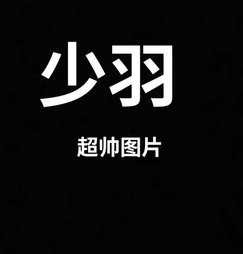 少羽直装
