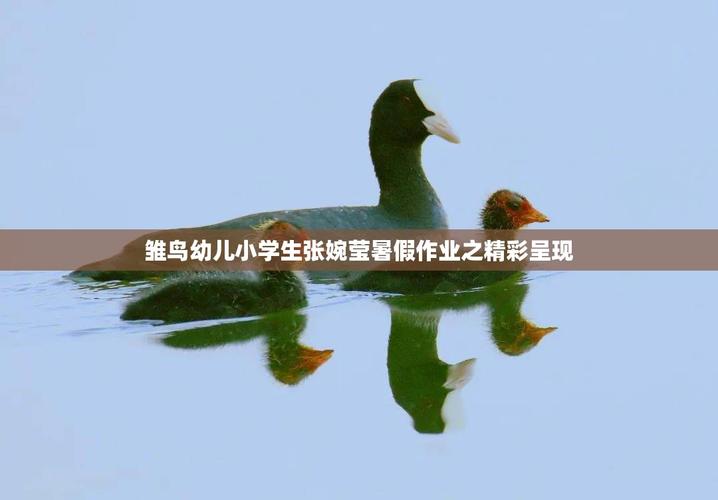 雏鸟幼儿小学生张婉莹暑假作业免费国语