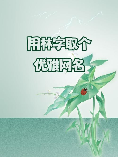 by77718最新网名约会版