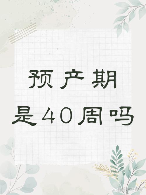 预产期是40周还是402去限制版