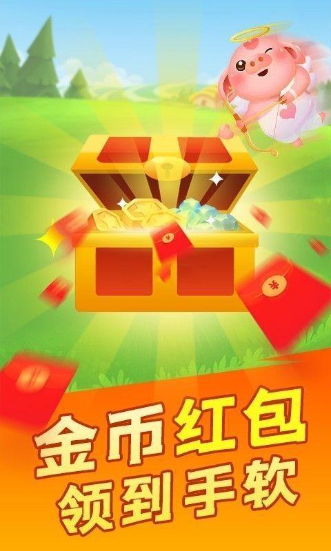 疯狂养猪场红包版光环加速版