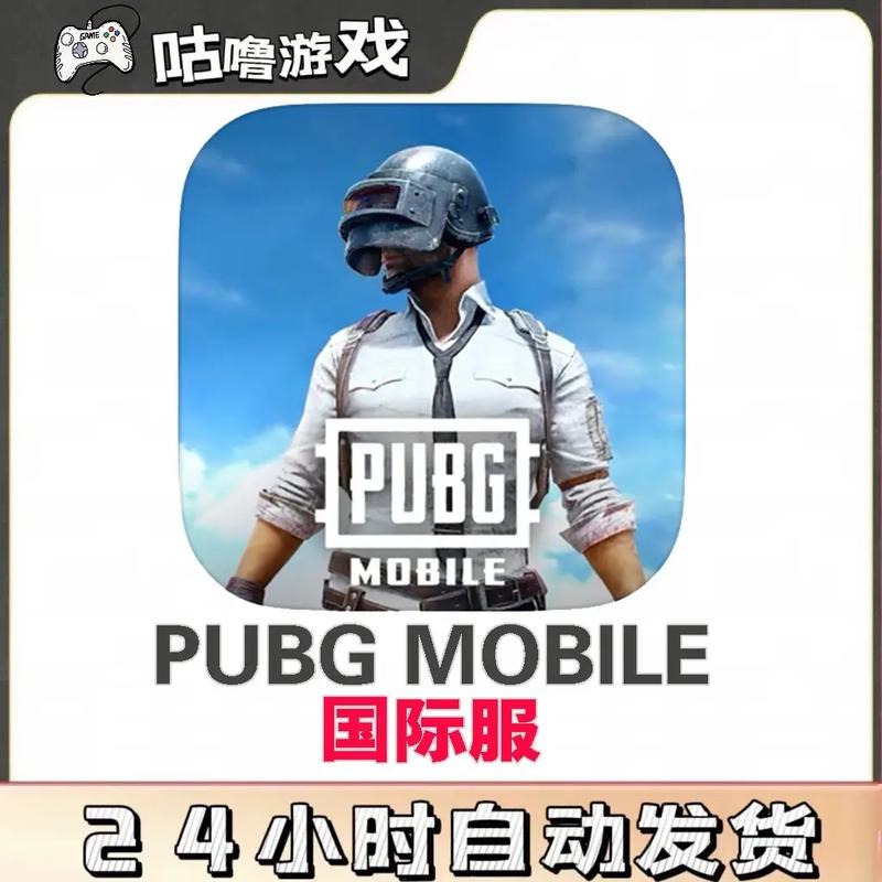 PUBG体验服白开水国体直装安装免广告