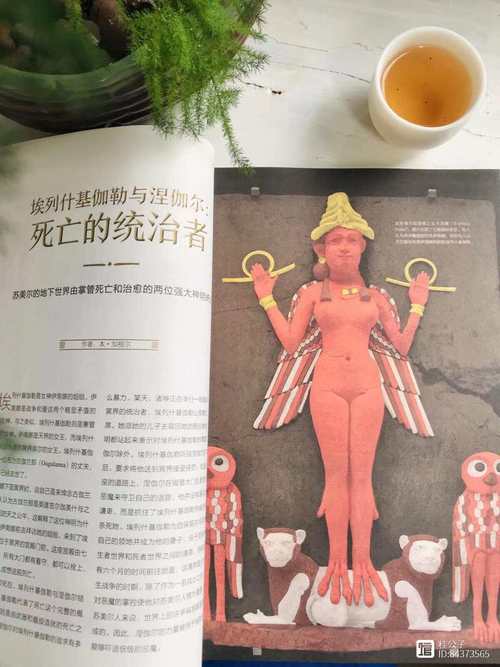 四季女神托尔女神在哪红包正版