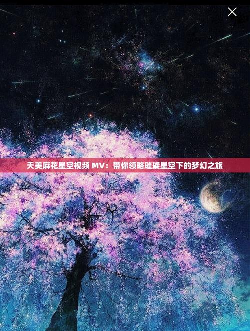 麻花星空mv和天美mv的区别解锁全部书源