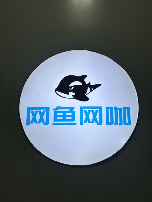 鲨鱼快讯赚钱
