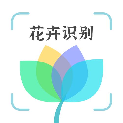 手机扫一扫识别花草