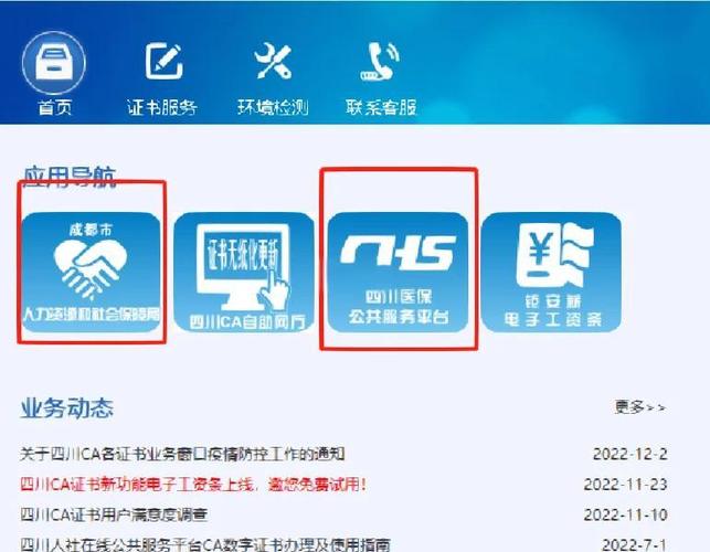 ca证书怎么登录不上去正版
