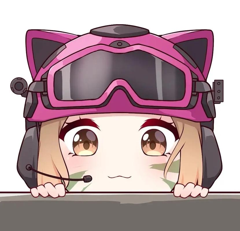 灰灰codm美化包高清版