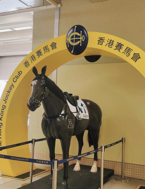 路路发香港赛马最新版彩色