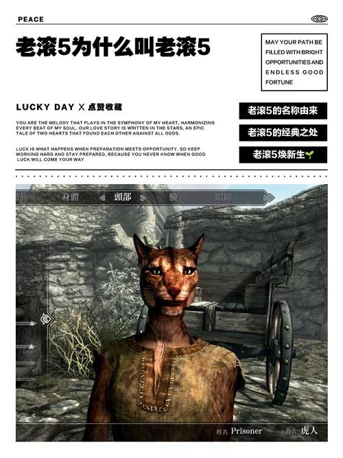 老滚5完成任务代码赚钱版