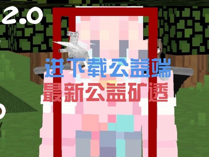 mc矿透挂安装