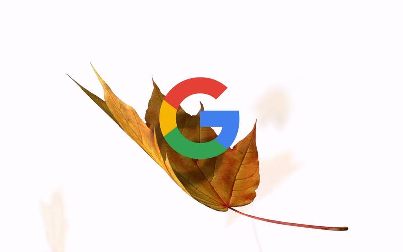 落叶内核直装最新版本更新