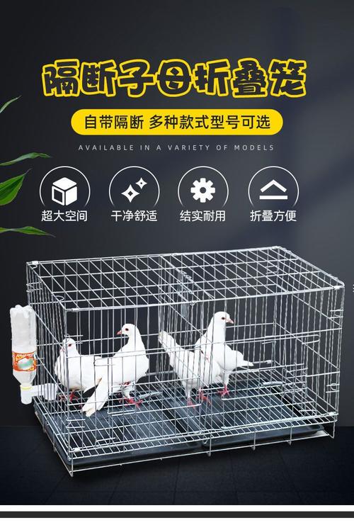 鸽笼子图片及价格赚钱版