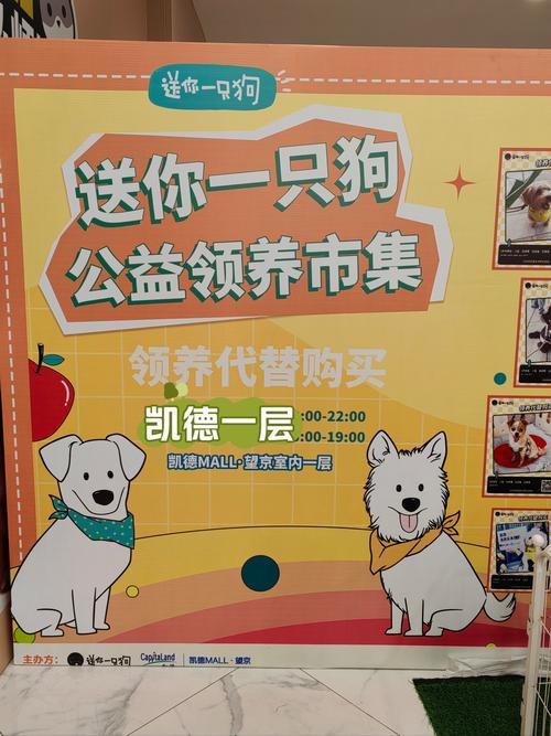 领养狗为什么要给红包